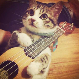 黄色特极特黄人与动物做爱
